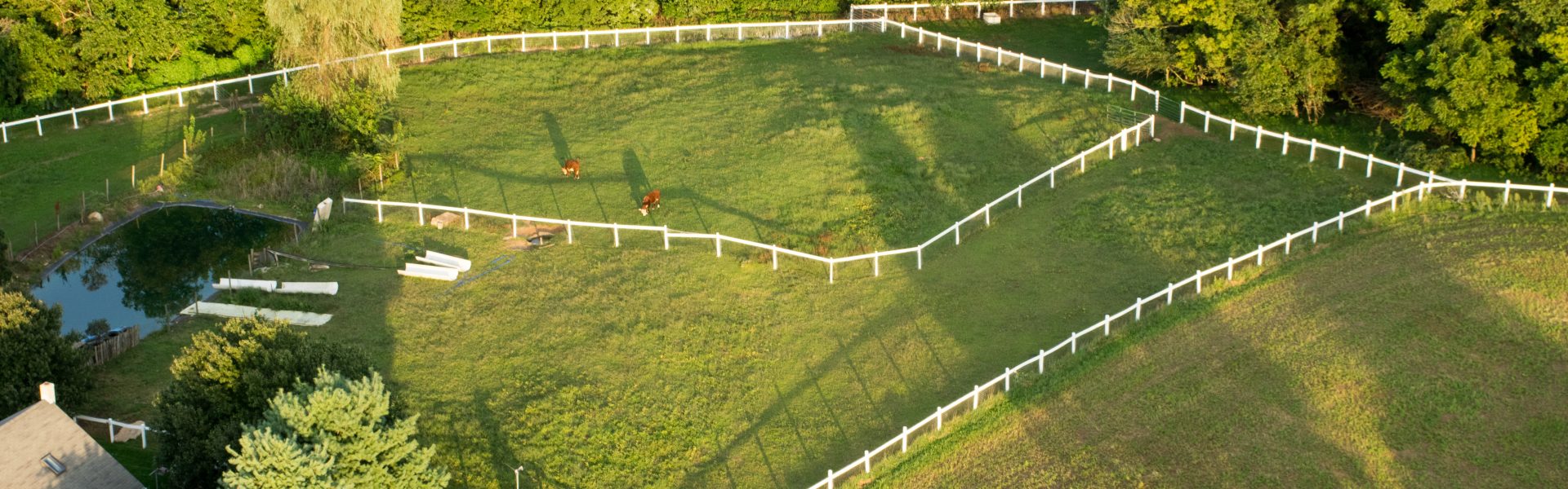 benim-group-seckin-arsalar